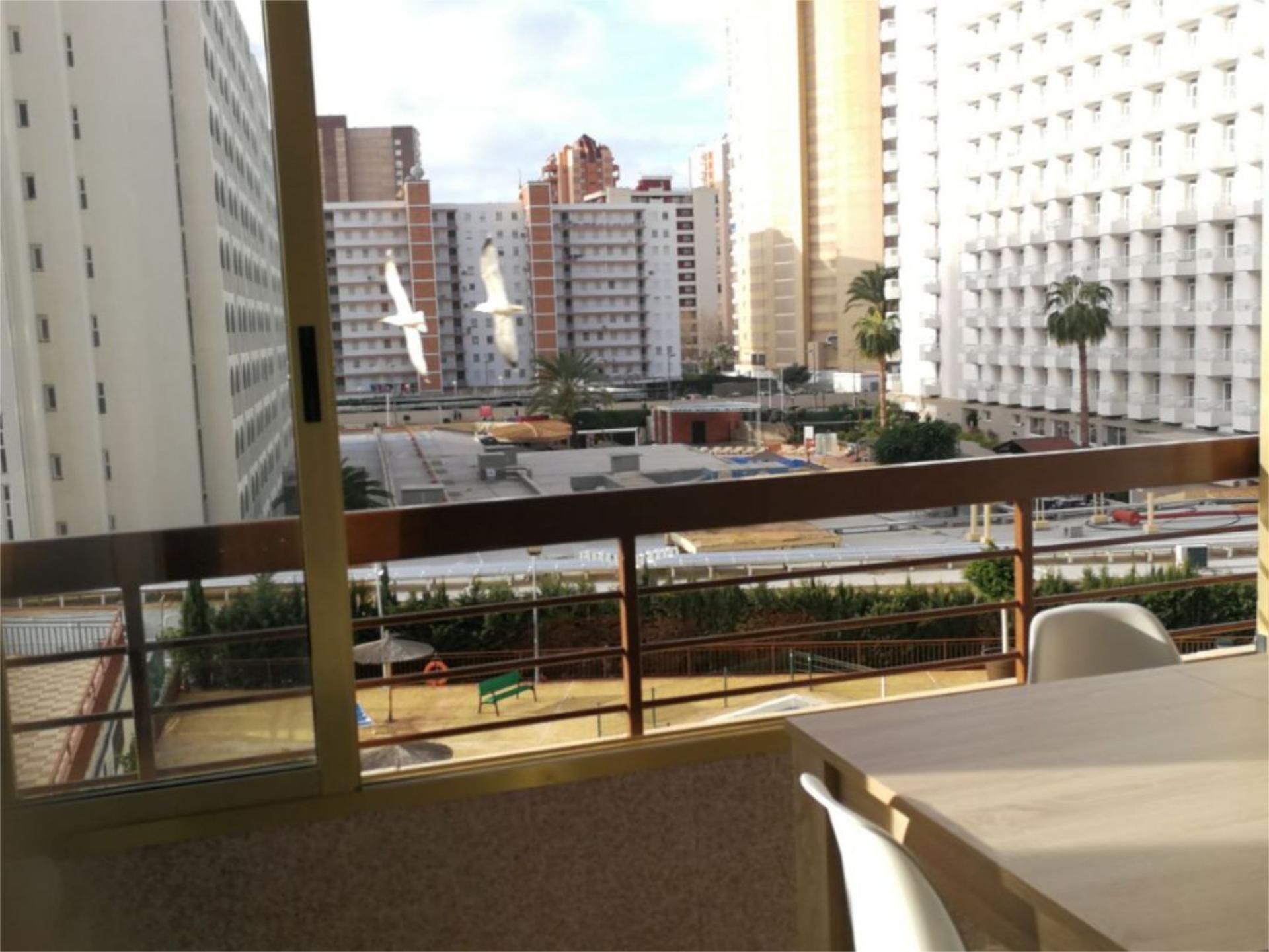 Terrassa de Apartament de lloguer en Benidorm amb Aire condicionat, Terrassa i Piscina