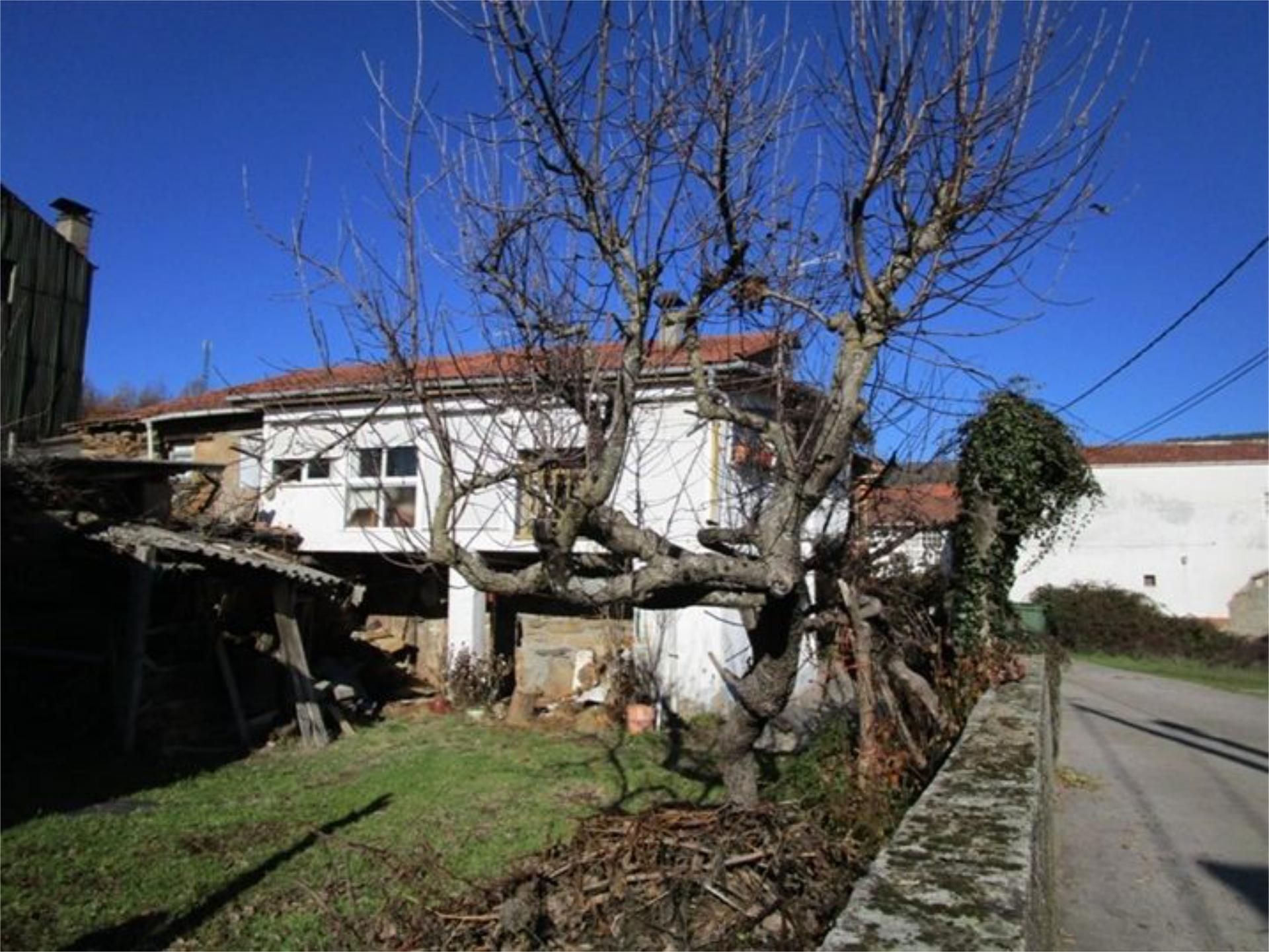 Garden of Single-family semi-detached for sale in Laza