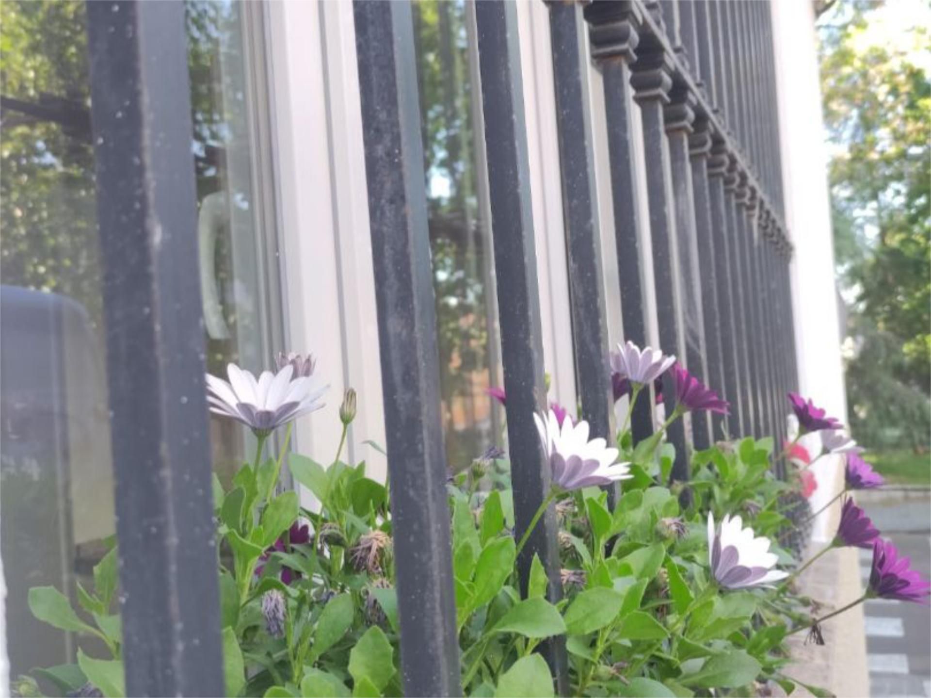 Jardí de Planta baixa de lloguer en Mérida amb Aire condicionat, Calefacció i Moblat