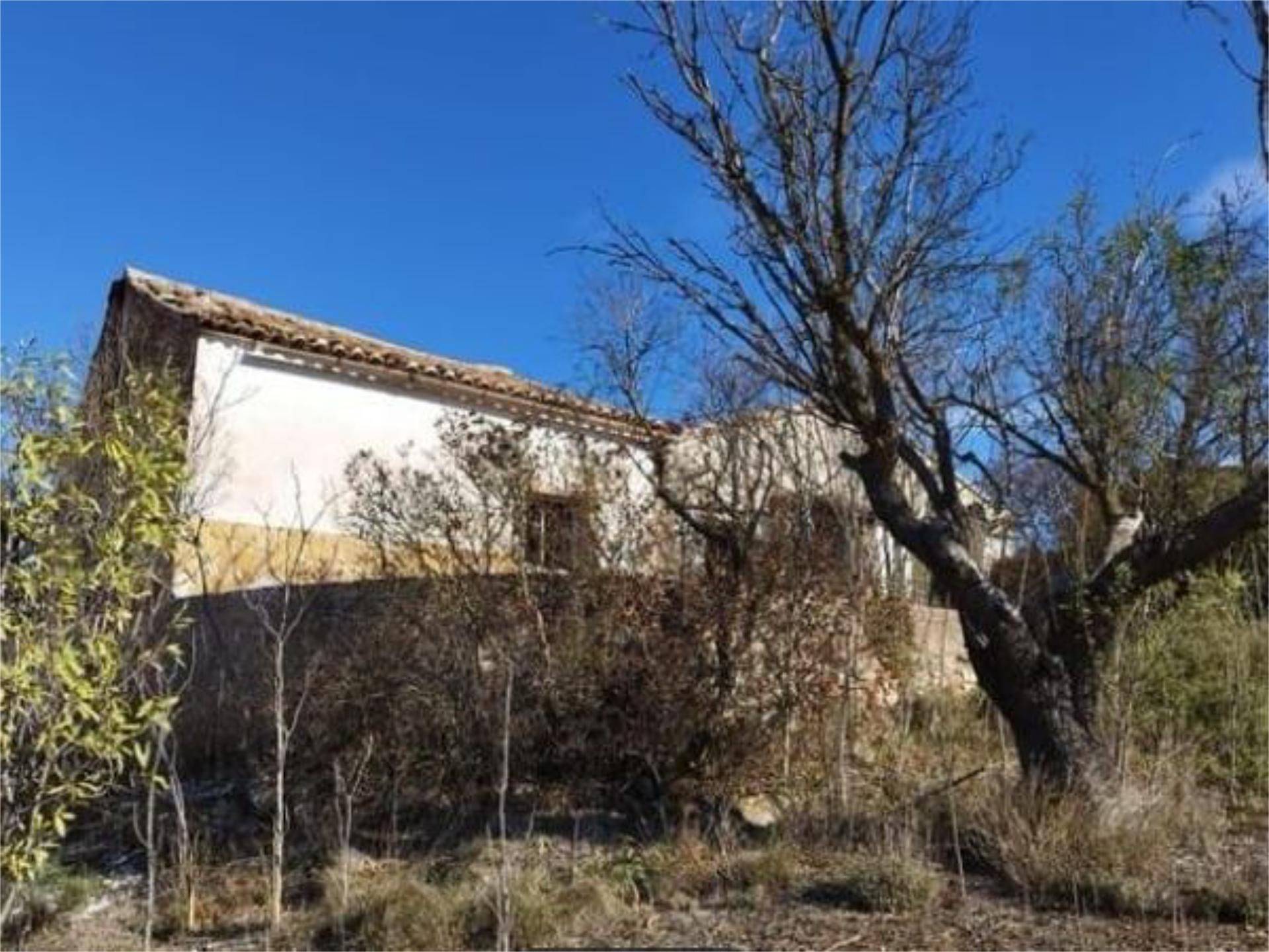 Vista exterior de Finca rústica en venda en Requena amb Jardí privat, Terrassa i Traster