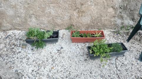 Foto 3 de Finca rústica en venda a Calle Hospital, 8, Villafeliche, Zaragoza