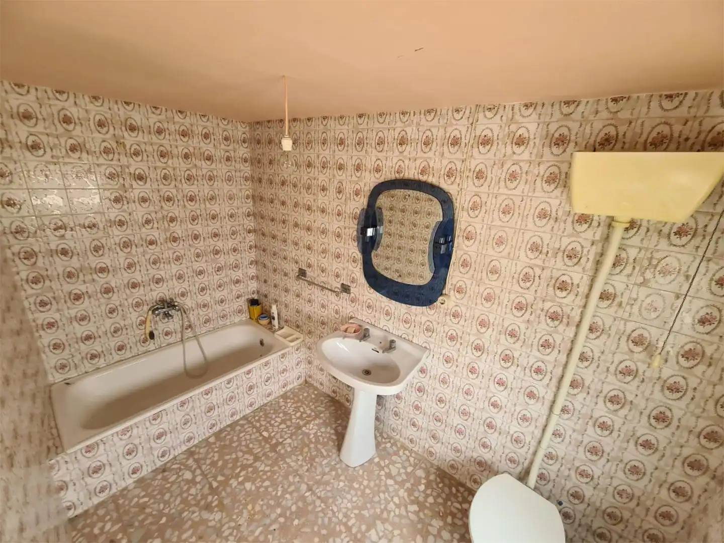 Bathroom of Detached homes for sale in Alcollarín