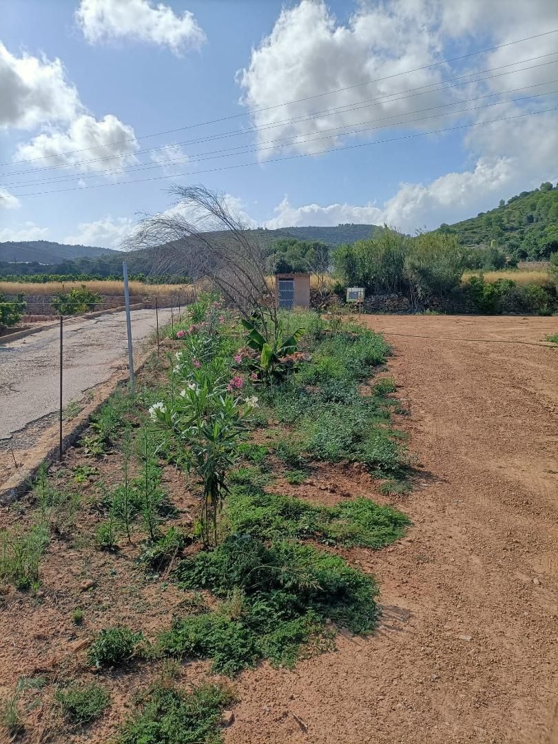 Finca rústica en venda en Alcanar