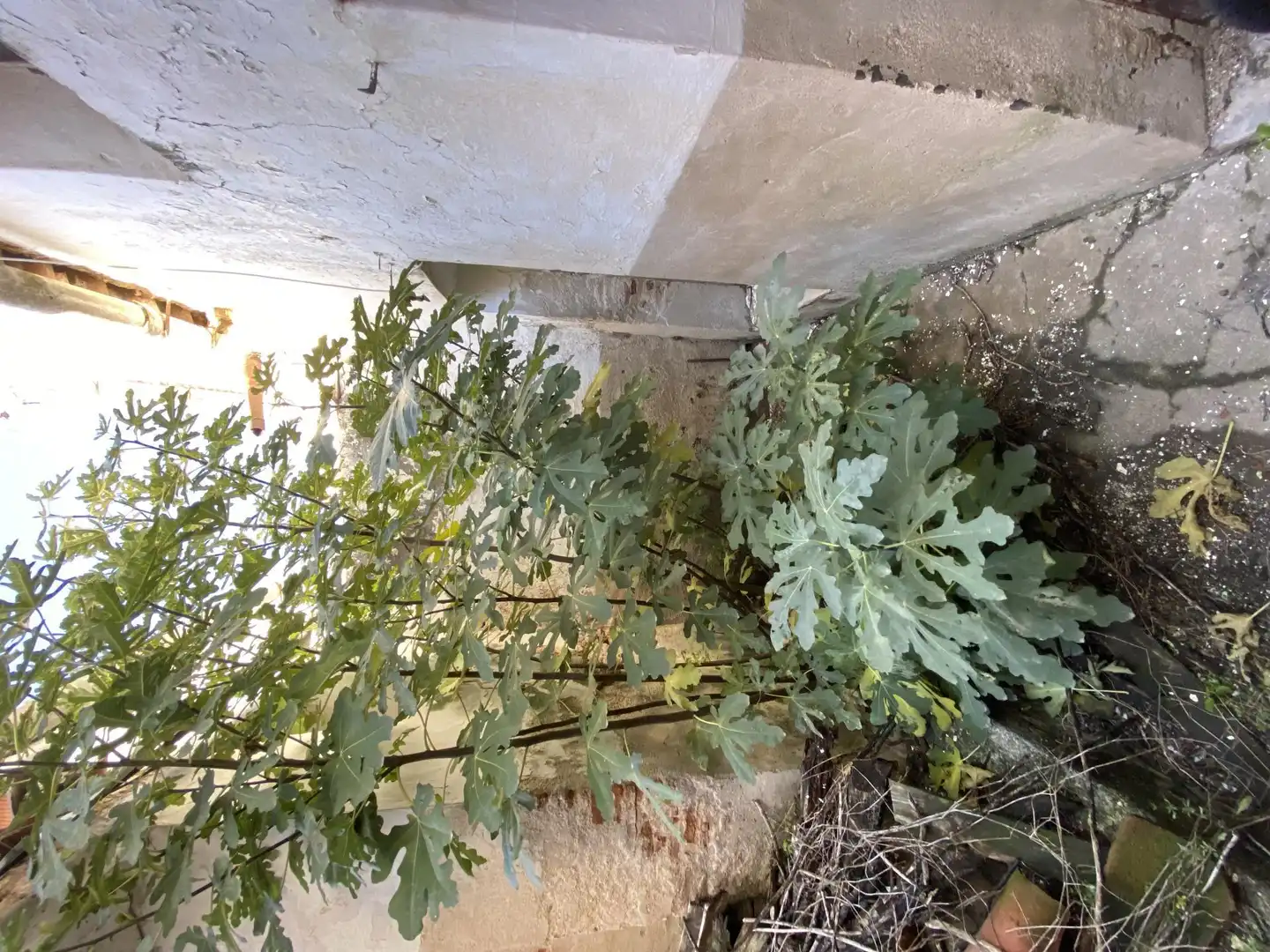 Flat for sale in Calle Cortes, 8, Torrequemada Garden of Flat for sale in Torrequemada with Terrace