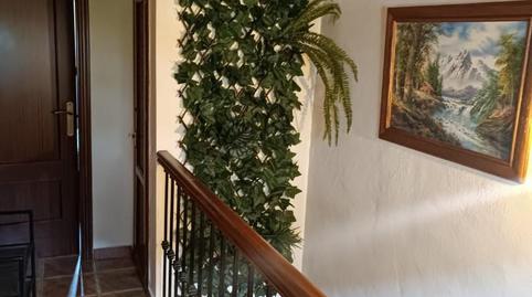 Photo 5 of House or chalet to rent in Travesia Pio XII, 58a, Igualeja, Málaga