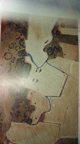 Terreno en Venta en Carretera de Valdepeñas, 12 en Cózar