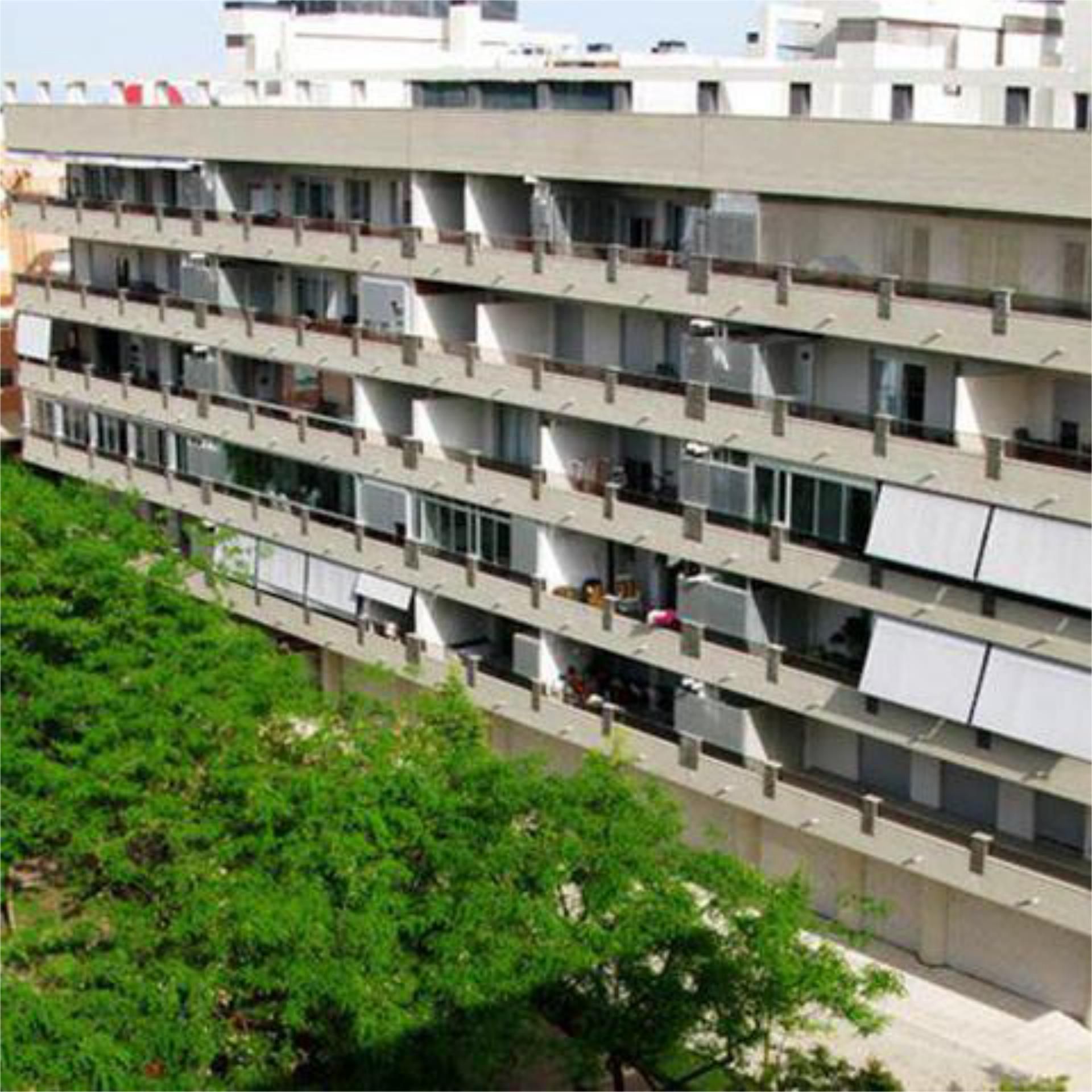 Pis de lloguer a Ciutat Esportiva
