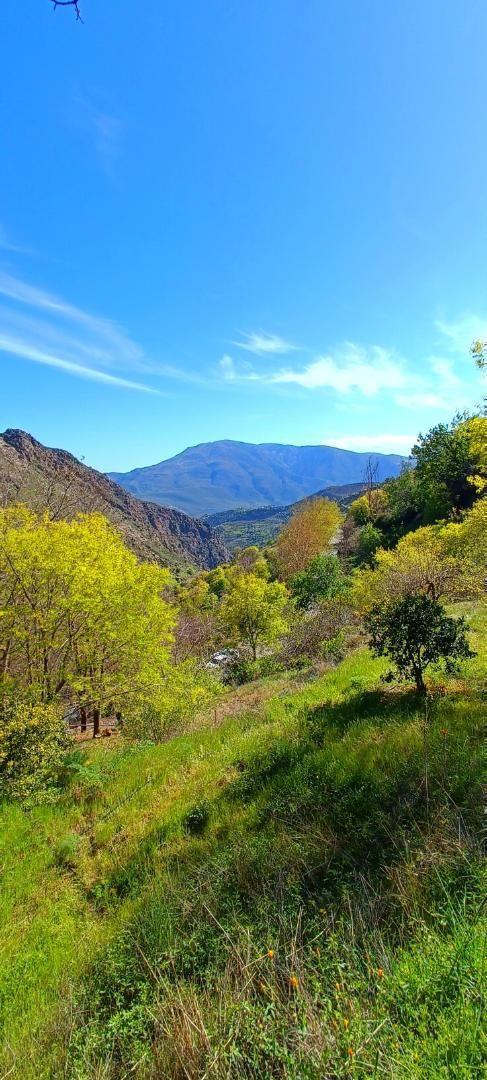 Exterior view of Country house for sale in Pampaneira  with Terrace
