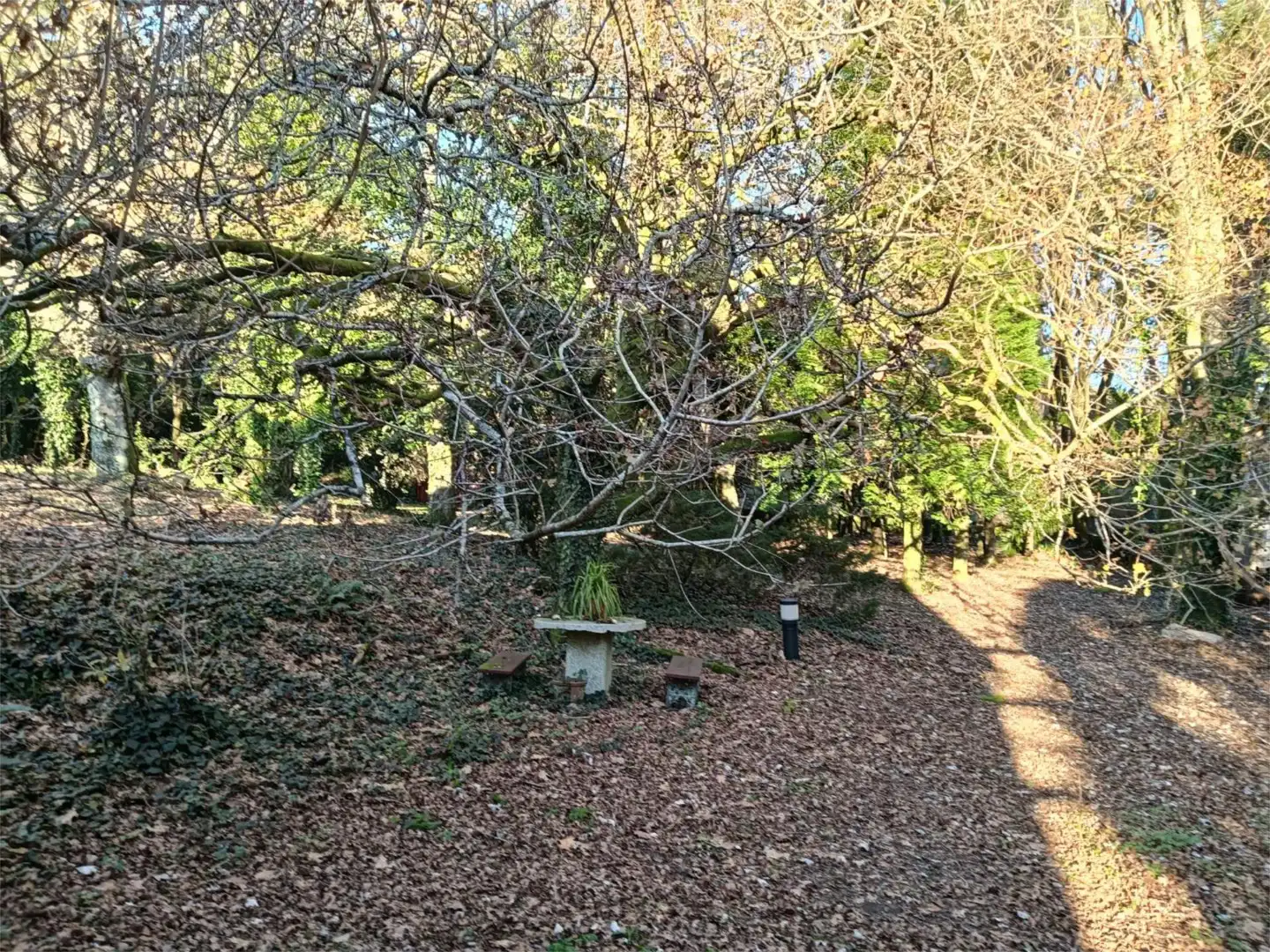 Jardín de Casa o chalet en venta en Monforte de Lemos con Calefacción, Jardín privado y Parquet