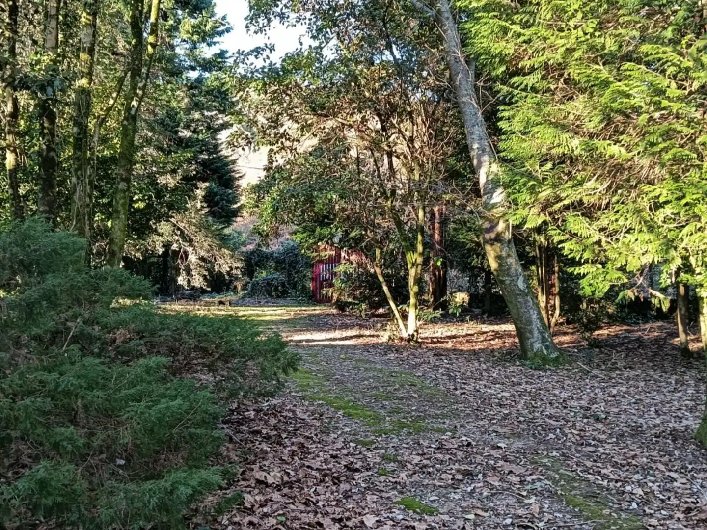 Jardín de Casa o chalet en venta en Monforte de Lemos con Calefacción, Jardín privado y Parquet