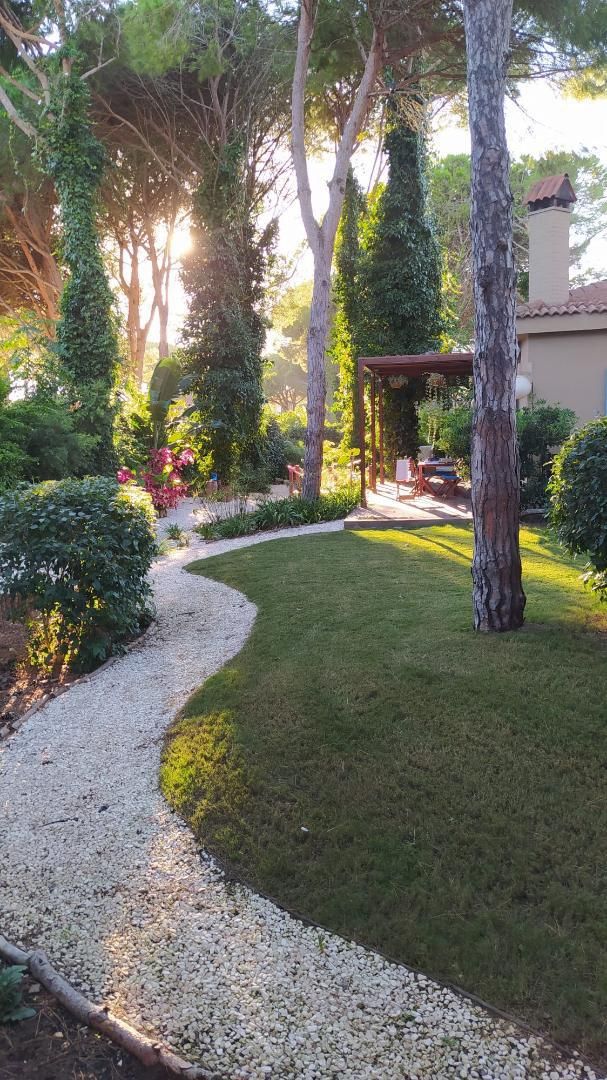 Garden of House or chalet for sale in Chiclana de la Frontera  with Private garden, Swimming Pool and Furnished