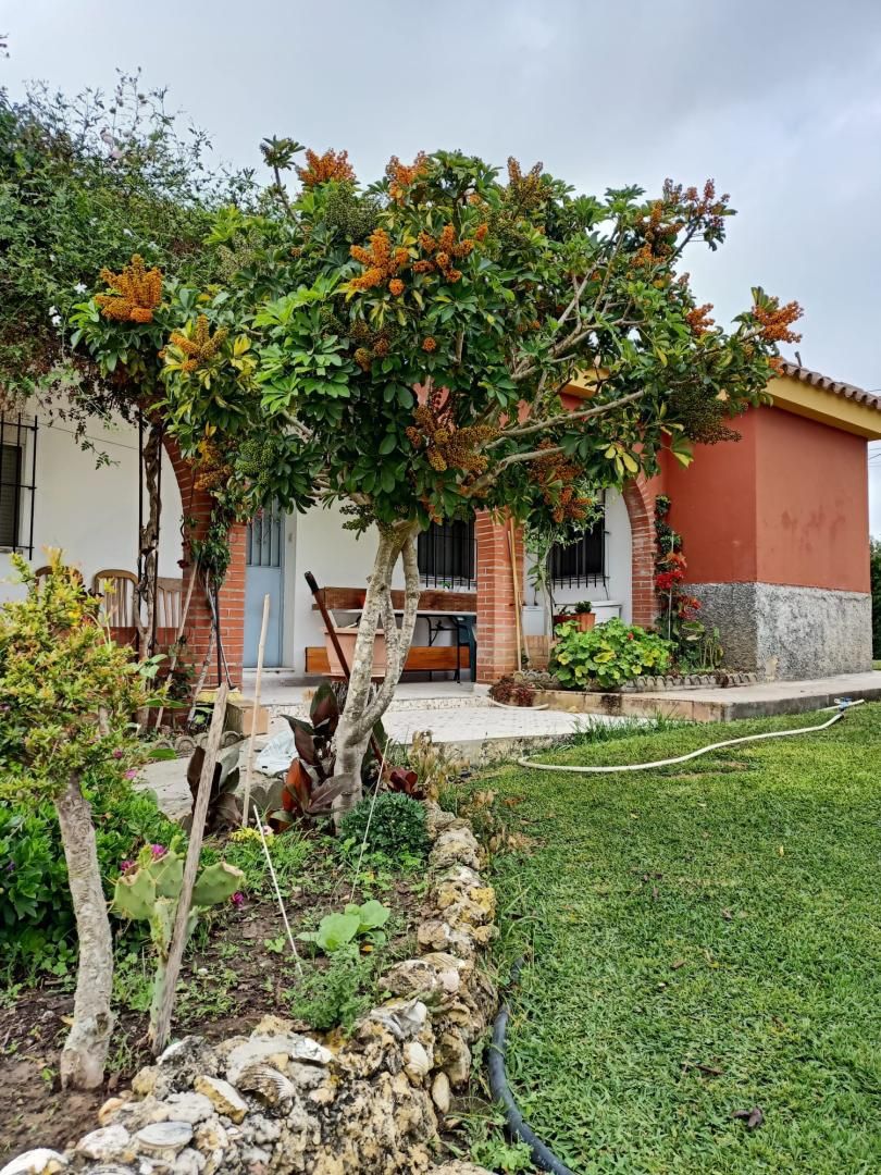 Jardí de Casa o xalet en venda en Puerto Real amb Jardí privat, Piscina i Moblat