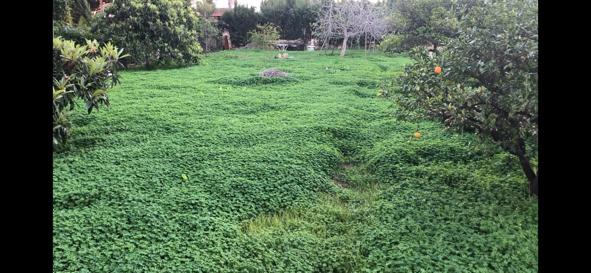 Jardí de Casa o xalet en venda en Paterna
