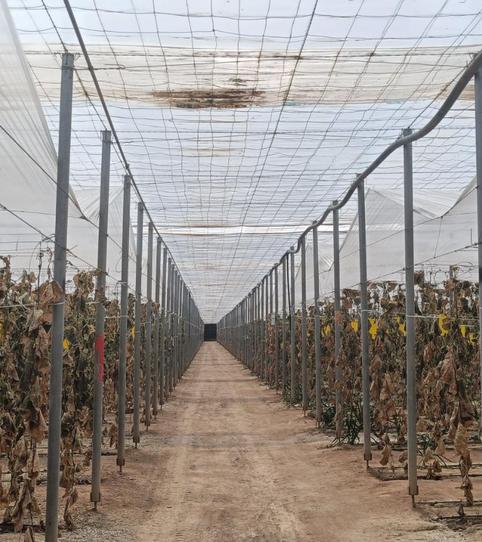 Country house for sale in Las Salinas, Almería - image 2 Photo 2 of Country house for sale in Las Salinas, Almería