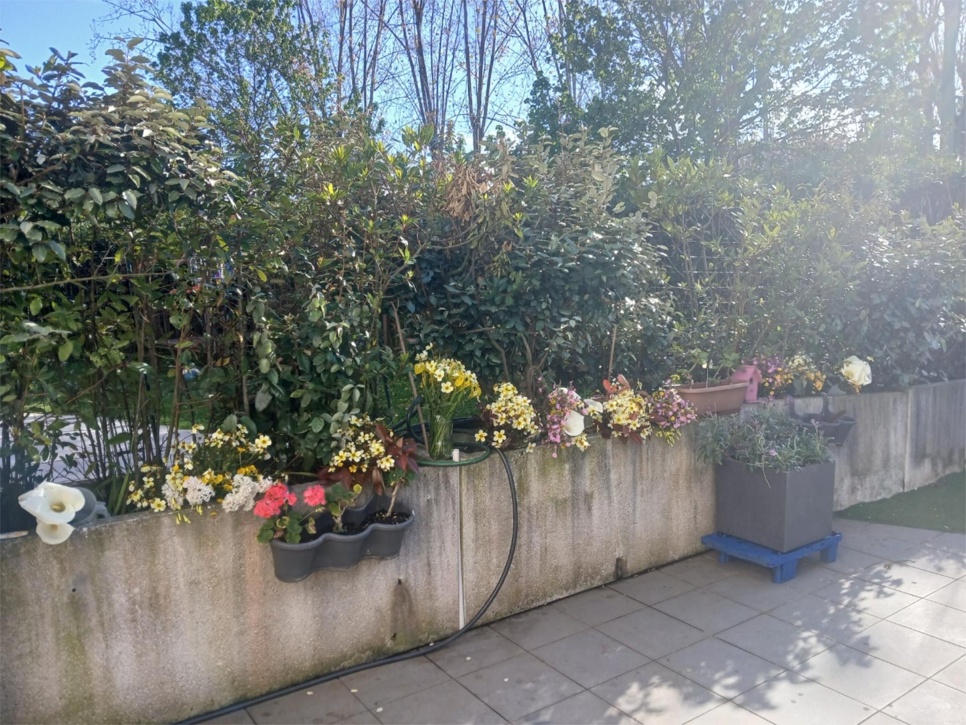 Terrace of Flat for sale in Getxo   with Terrace