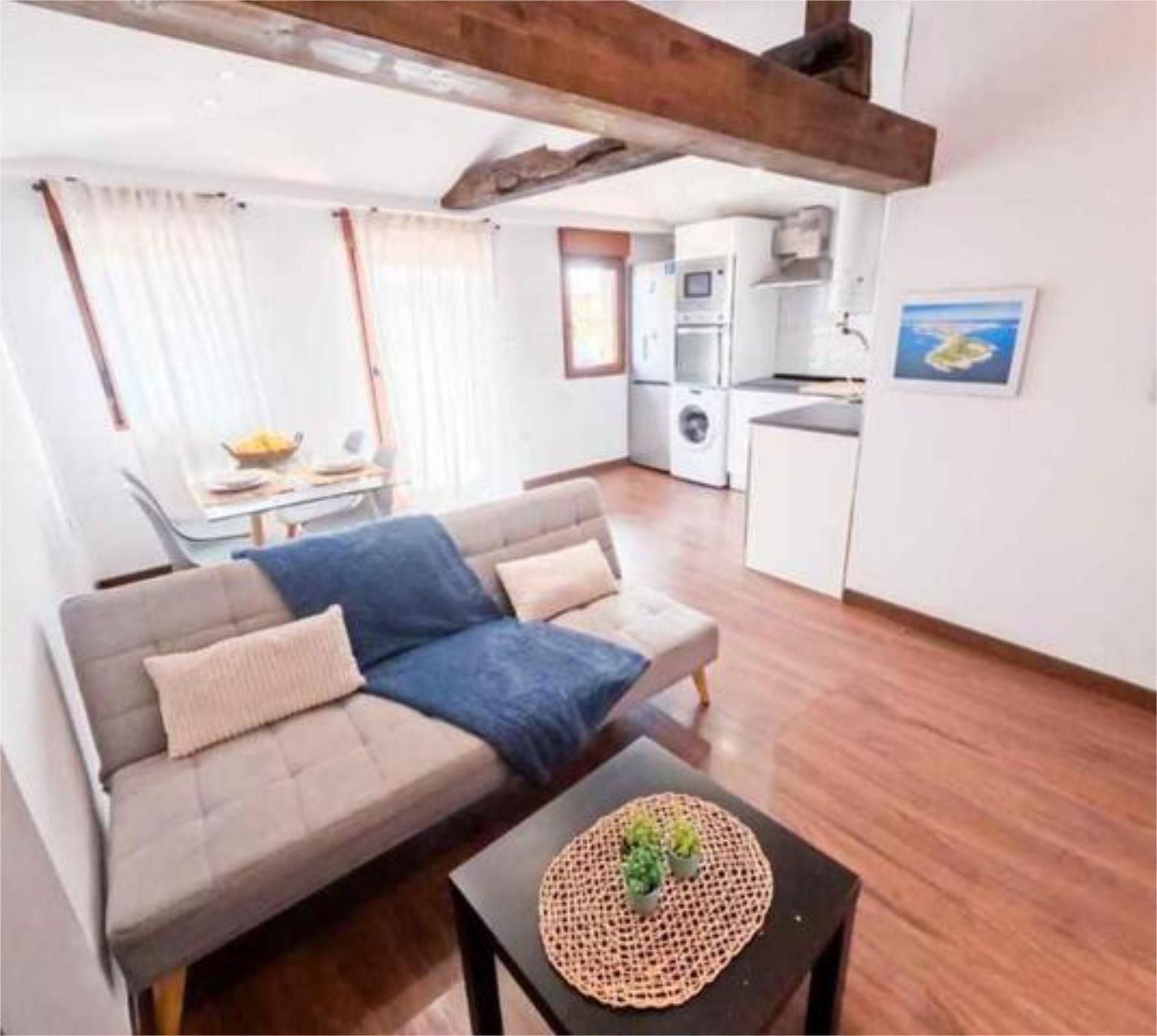 Sala d'estar de Apartament de lloguer en Santander amb Terrassa i Moblat
