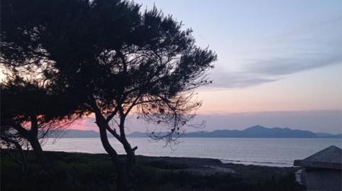 House or chalet to rent in Carrer VeneƧuela, 12, Son Serra de Marina, Illes Balears - image 4 Photo 4 of House or chalet to rent in Carrer VeneƧuela, 12, Son Serra de Marina, Illes Balears