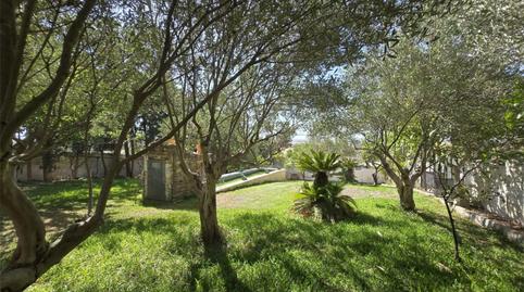 Foto 5 de Finca rústica en venta en Pago Los Niños, 214a, Los Franceses – La Vega, Chiclana de la Frontera