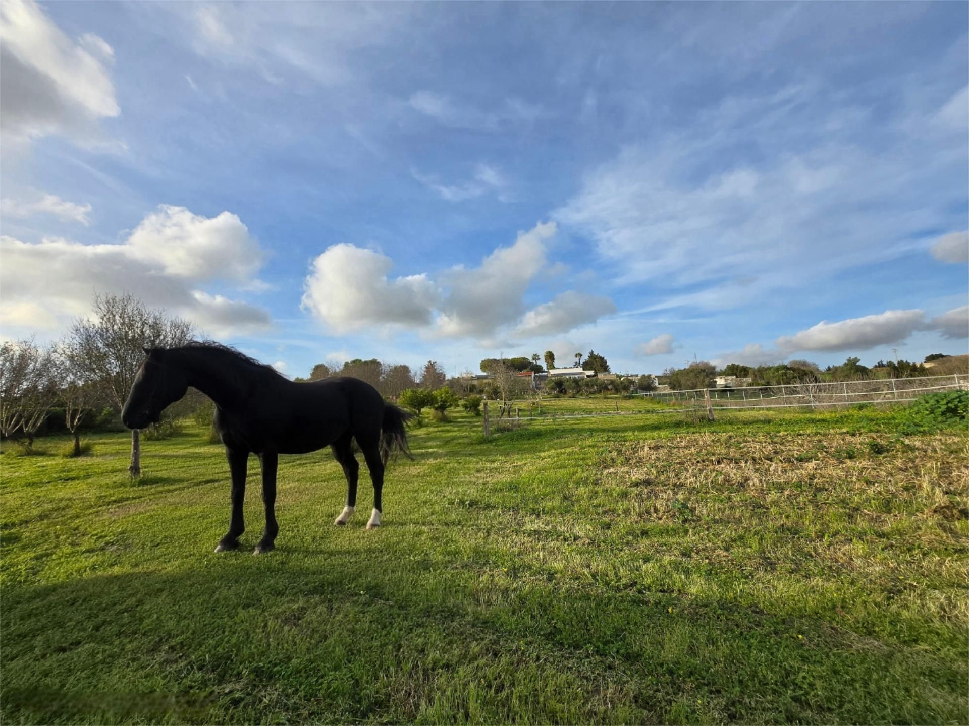Vista exterior de Finca rústica en venda en Chiclana de la Frontera amb Aire condicionat, Terrassa i Piscina
