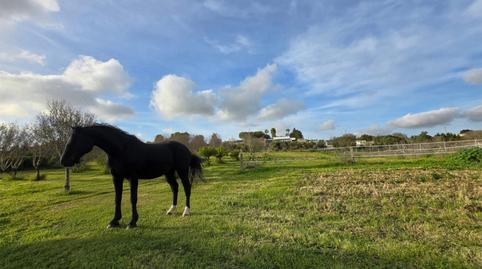 Country house for sale in Pago Los Niños, 214a, Los Franceses – La Vega, Cádiz - image 2 Photo 2 of Country house for sale in Pago Los Niños, 214a, Los Franceses – La Vega, Cádiz