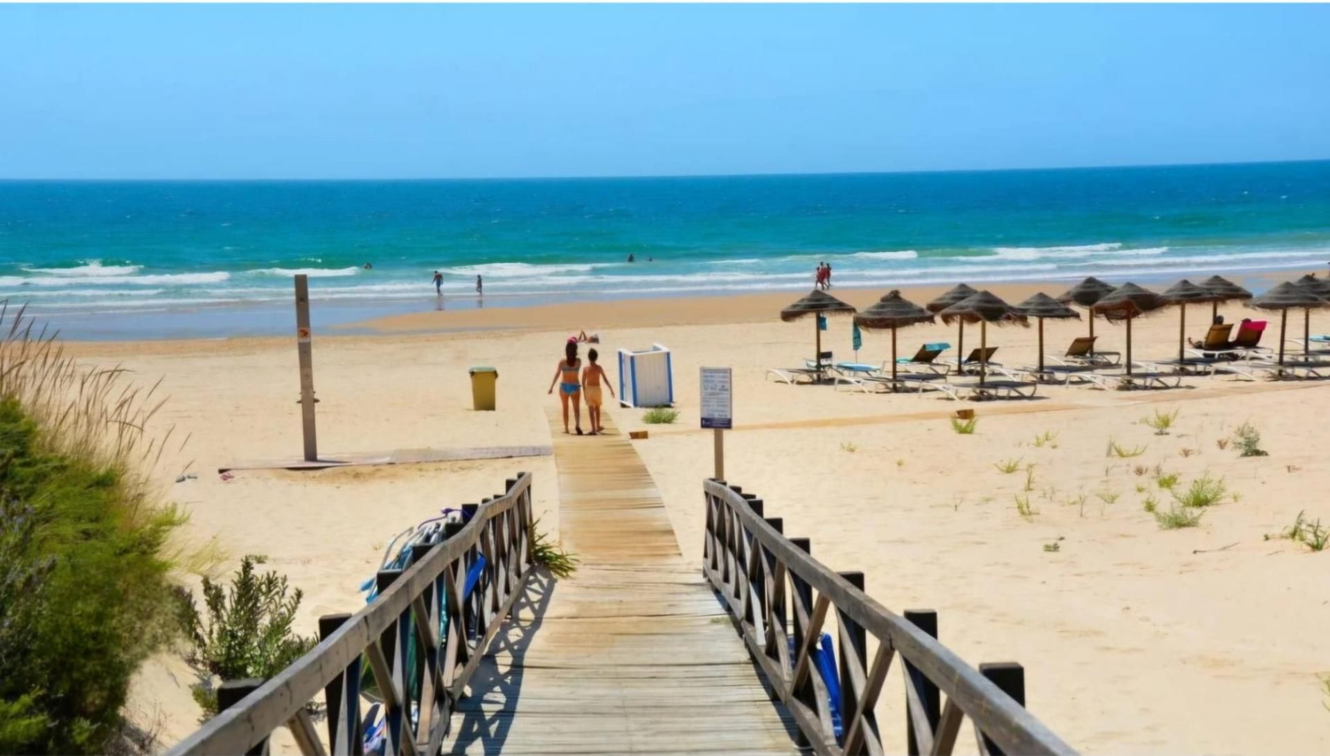 Vista exterior de Finca rústica en venda en Chiclana de la Frontera amb Aire condicionat