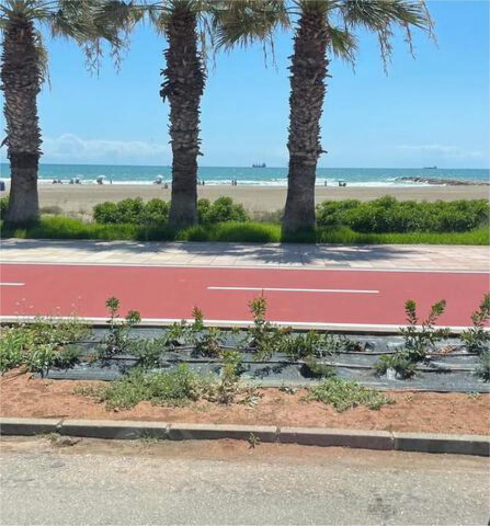 Vista exterior de Apartament en venda en Castellón de la Plana / Castelló de la Plana