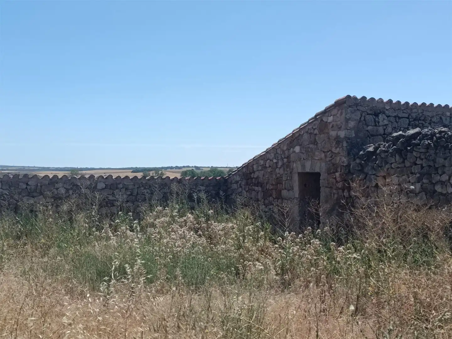 Exterior view of Country homes for sale in Iglesiarrubia
