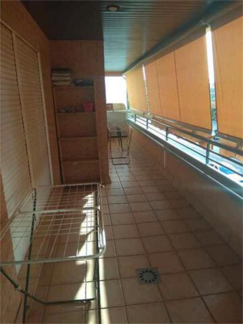 Flat to rent in Avda. Federico Garcia Lorca - Nueva Estación Autobuses