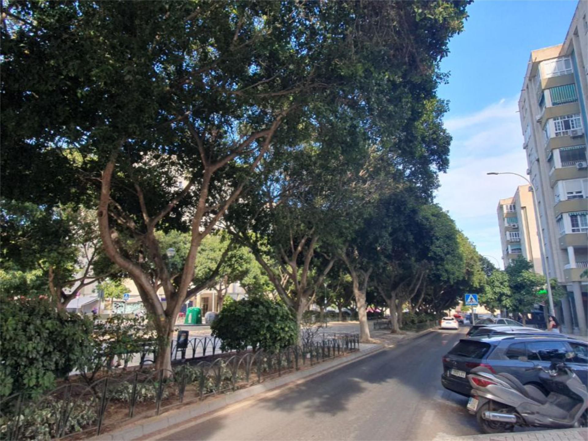 Vista exterior de Pis de lloguer en Málaga Capital amb Aire condicionat, Calefacció i Jardí privat