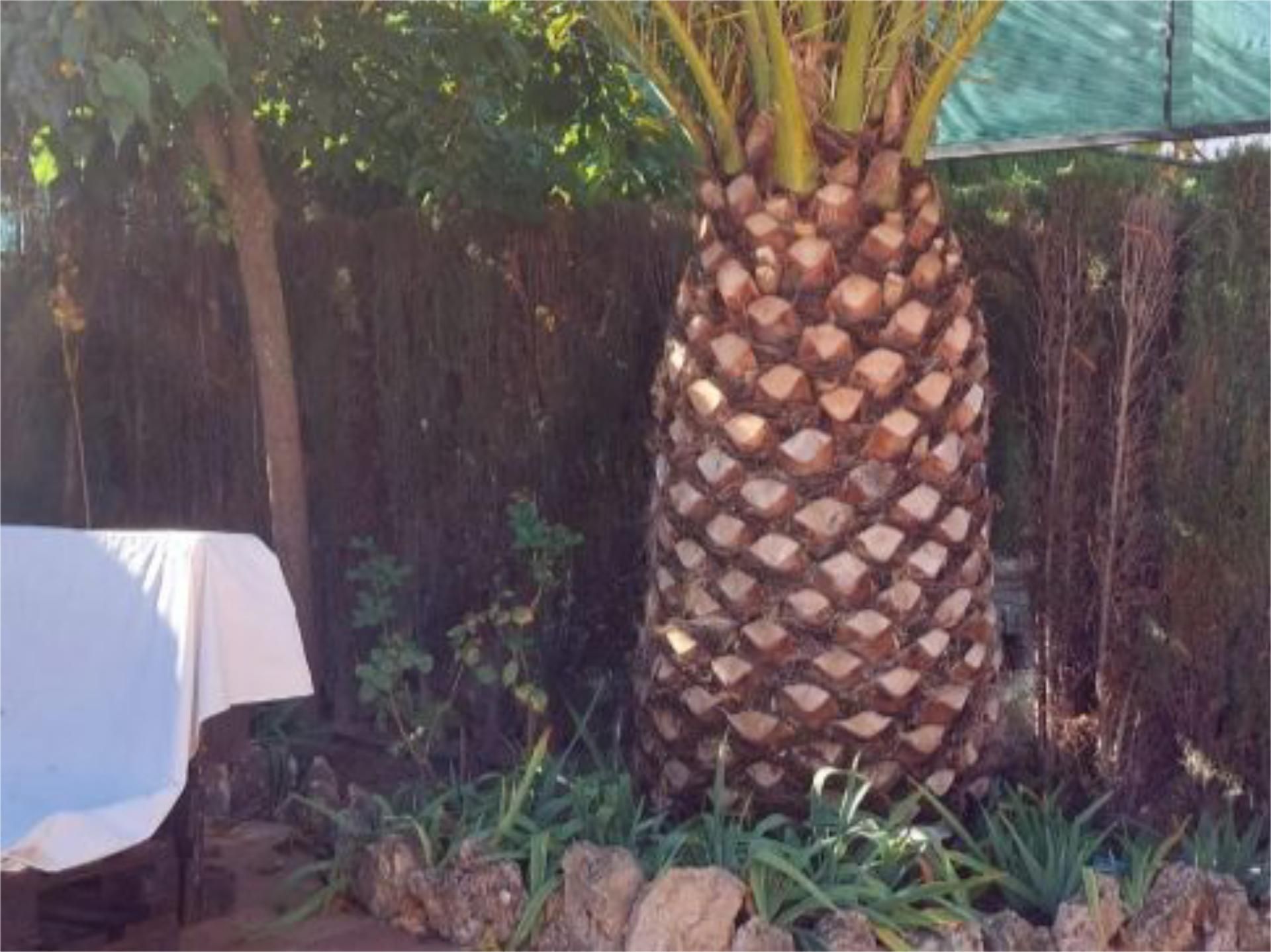 Garden of Country house for sale in Loja  with Air Conditioner and Swimming Pool