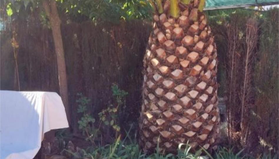 Finca rústica en venda a Calle Virgen del Rocío, 7, Loja, Granada - imatge 1 Foto 1 de Finca rústica en venda a Calle Virgen del Rocío, 7, Loja, Granada