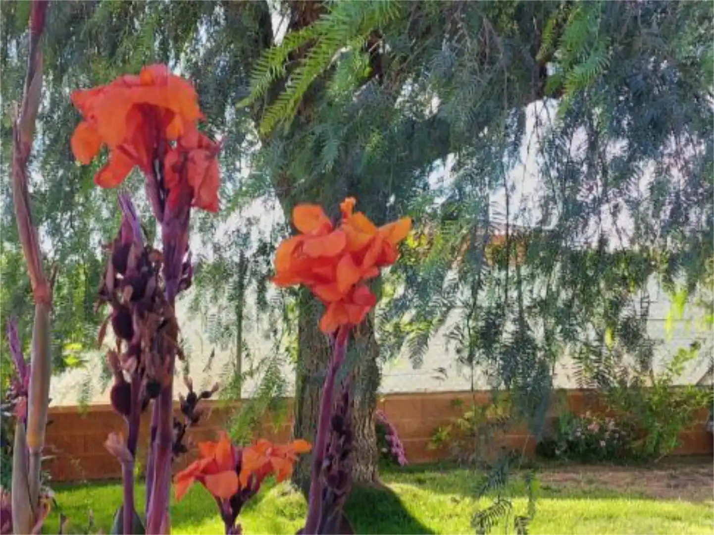 Finca rústica en venta en Calle Virgen del Rocío, 7, Loja Jardín de Finca rústica en venta en Loja con Aire acondicionado y Piscina