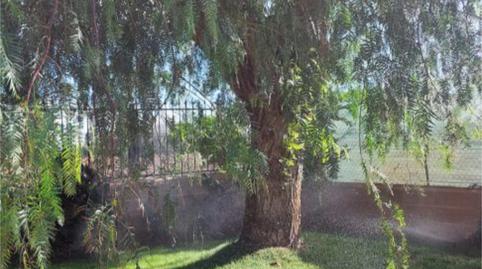 Finca rústica en venda a Calle Virgen del Rocío, 7, Loja, Granada - imatge 4 Foto 4 de Finca rústica en venda a Calle Virgen del Rocío, 7, Loja, Granada