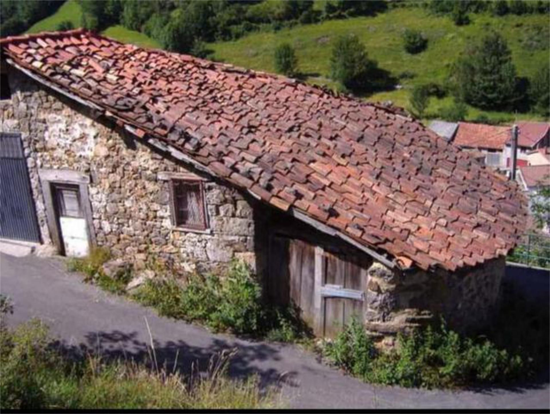 Vista exterior de Casa o chalet en venta en Caso con Jardín privado