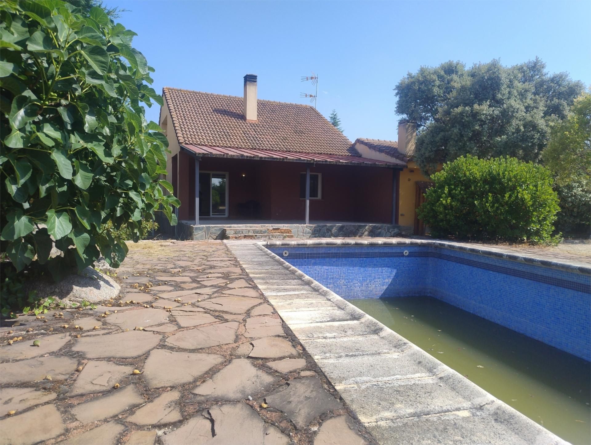Piscina de Casa o xalet en venda en Zarzuela del Monte amb Terrassa i Piscina