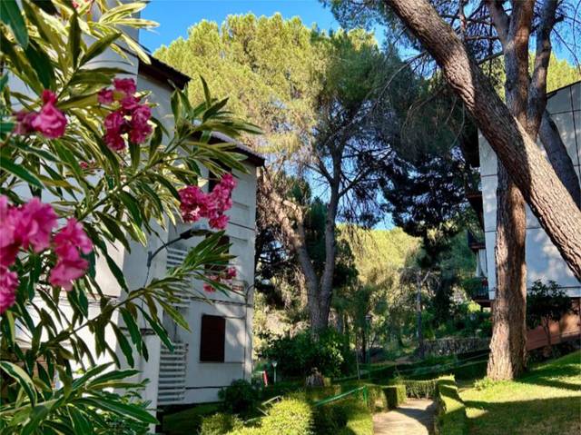 Apartamento en Alquiler en Calle de Colon, 2 en San Martín de Valdeiglesias