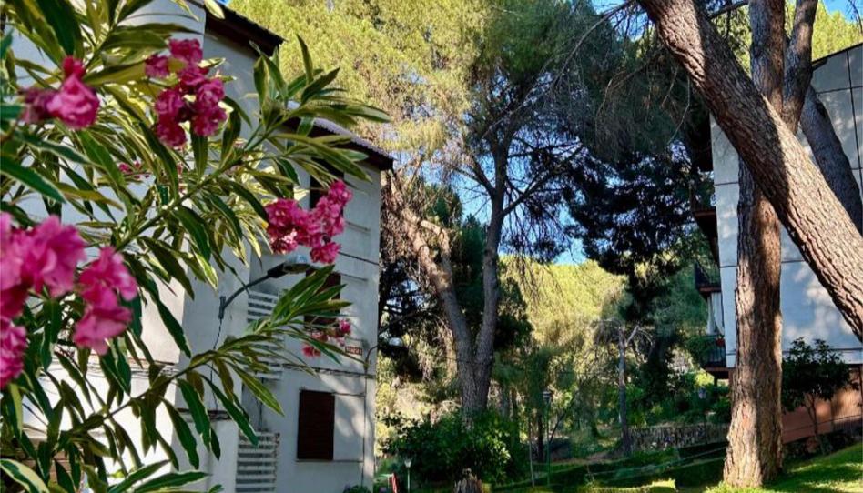 Foto 1 de Apartament de lloguer a Calle de Colon, 2, San Martín de Valdeiglesias, Madrid