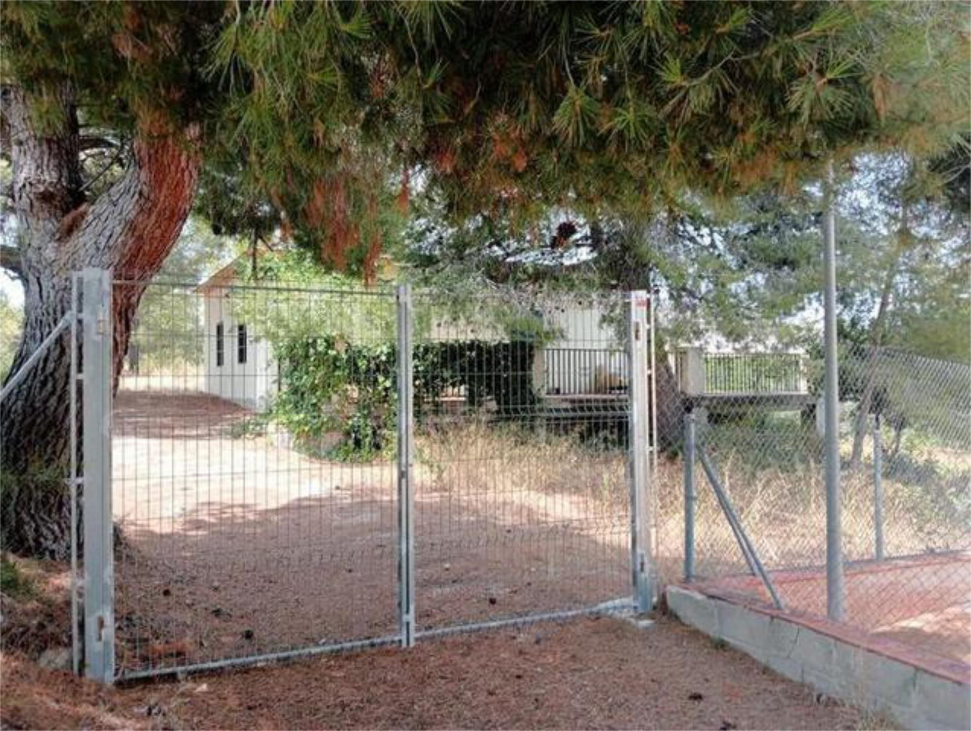 Garden of Single-family semi-detached for sale in Xirivella  with Swimming Pool