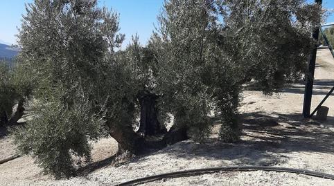 Foto 4 von Country house zum Verkauf in La Iruela, Jaén