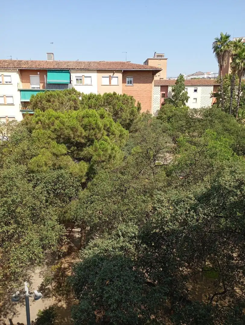Room in Carrer de l'Espiga, El Congrés i els Indians Flat for share in Barcelona with Heating, Parquet flooring and Furnished