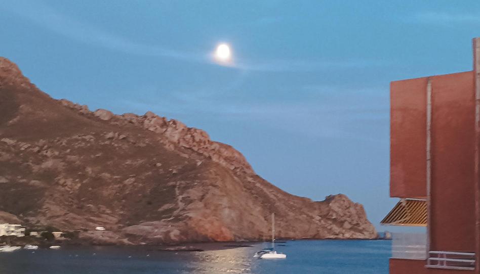 Foto 1 de Casa o xalet per a compartir a Calle Robles, 69, Casco Antiguo, Murcia