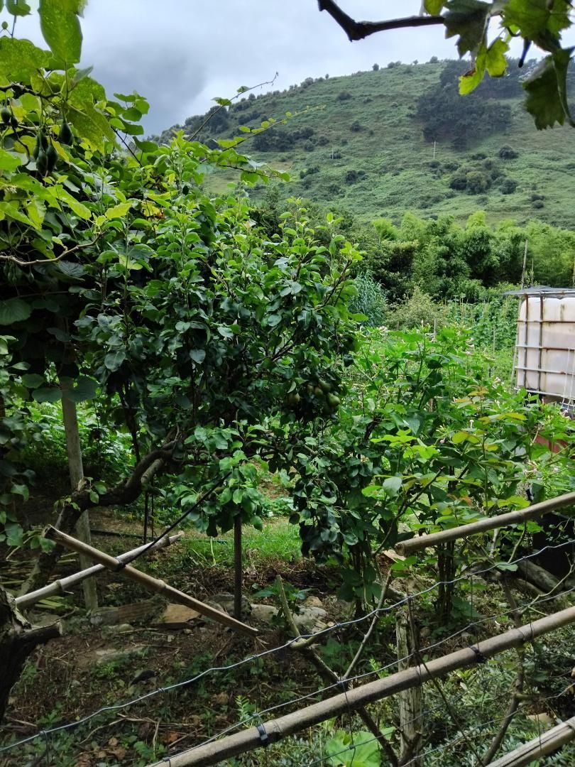 Garden of Land for sale in Zierbena