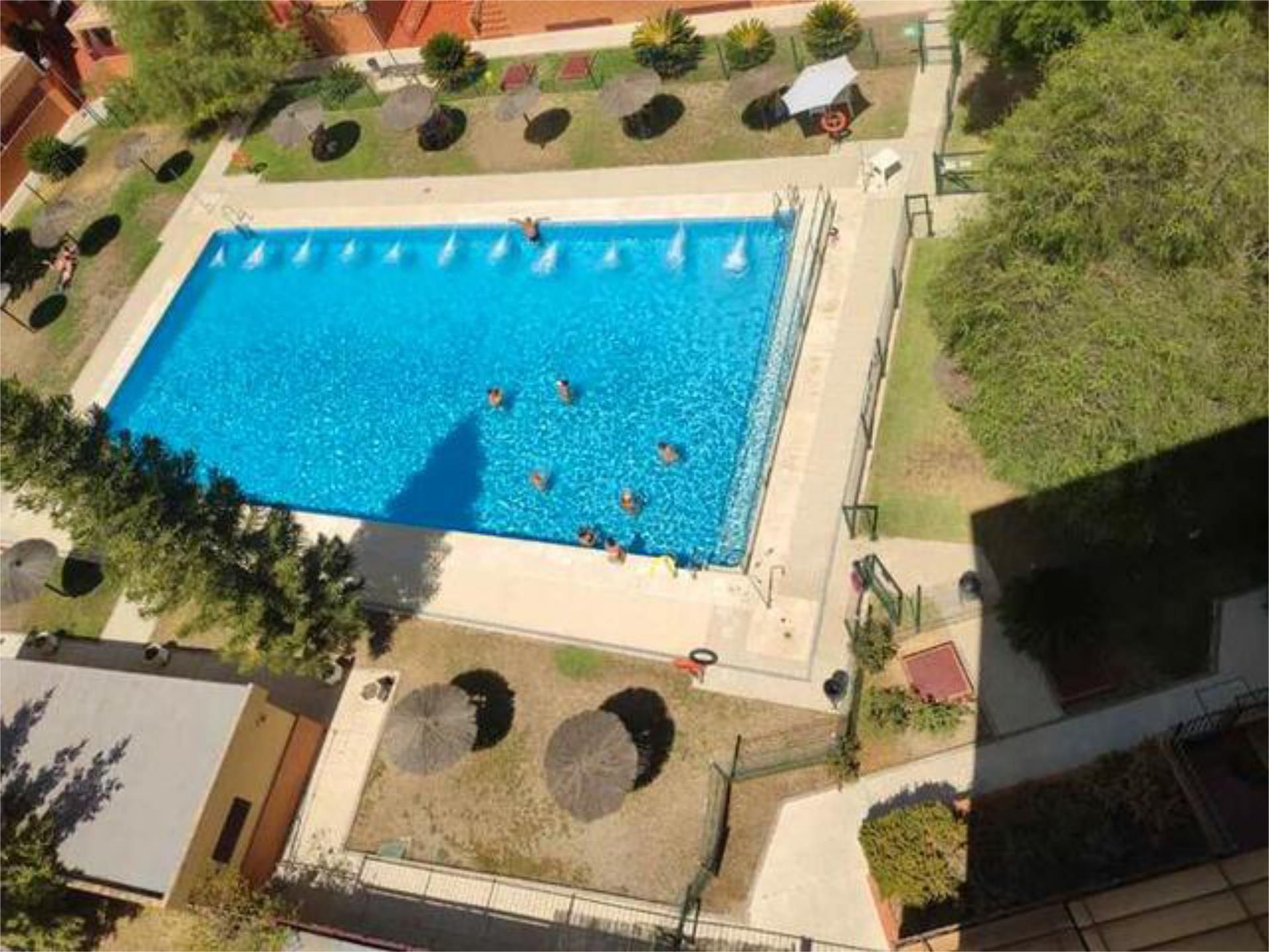 Swimming pool of Flat to rent in Mairena del Aljarafe