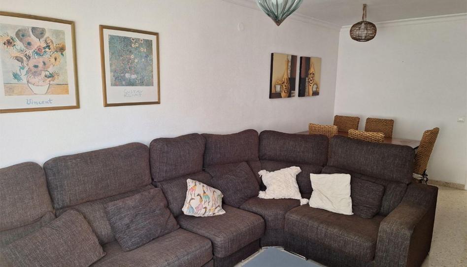 Flat to rent in Avenida Plutarco, 4, El Cónsul - Ciudad Universitaria - El Romeral, Málaga - image 1 Photo 1 of Flat to rent in Avenida Plutarco, 4, El Cónsul - Ciudad Universitaria - El Romeral, Málaga