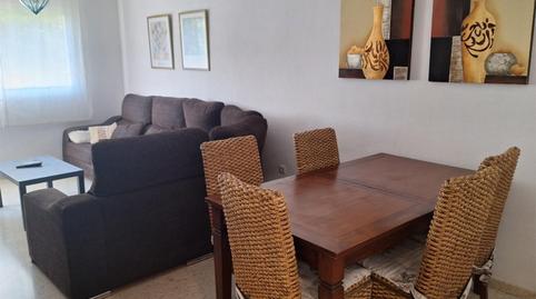 Flat to rent in Avenida Plutarco, 4, El Cónsul - Ciudad Universitaria - El Romeral, Málaga - image 3 Photo 3 of Flat to rent in Avenida Plutarco, 4, El Cónsul - Ciudad Universitaria - El Romeral, Málaga