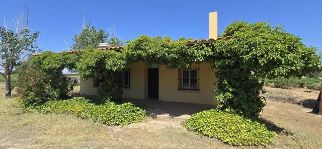 Finca rústica en Venta en Calle Diseminados, 590 en Villarrobledo