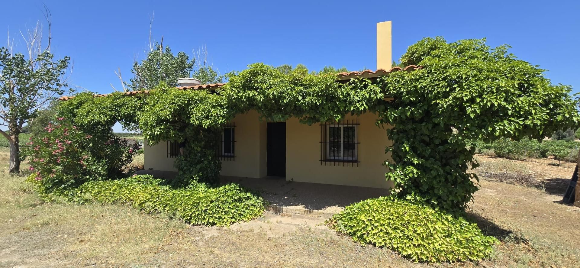 Vista exterior de Finca rústica en venta en Villarrobledo con Terraza, Piscina y Amueblado