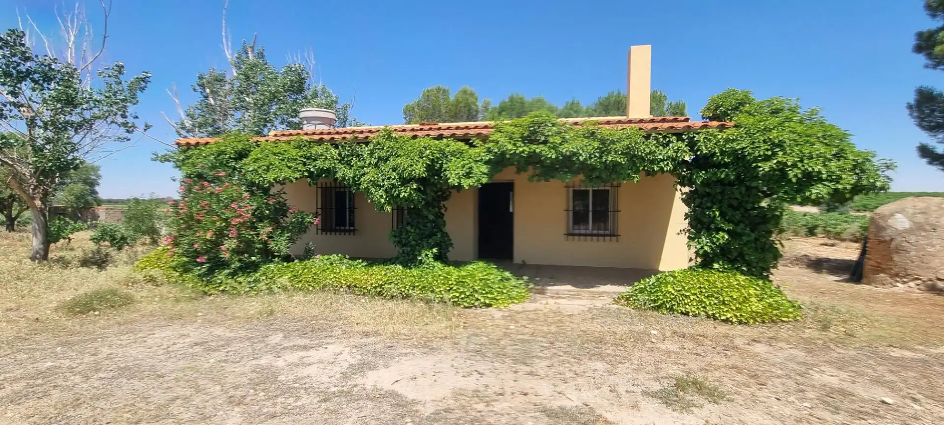 Country homes for sale in Calle Diseminados, 590, Villarrobledo Exterior view of Country homes for sale in Villarrobledo with Terrace and Swimming Pool