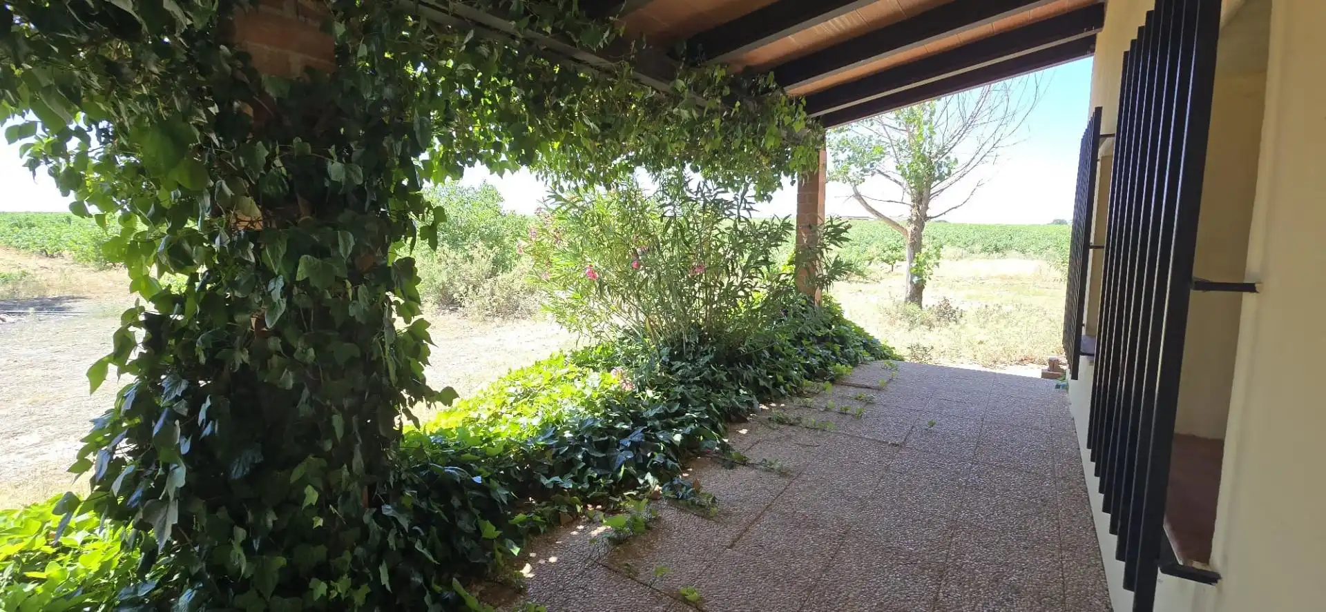 Country homes for sale in Calle Diseminados, 590, Villarrobledo Garden of Country homes for sale in Villarrobledo with Terrace and Swimming Pool