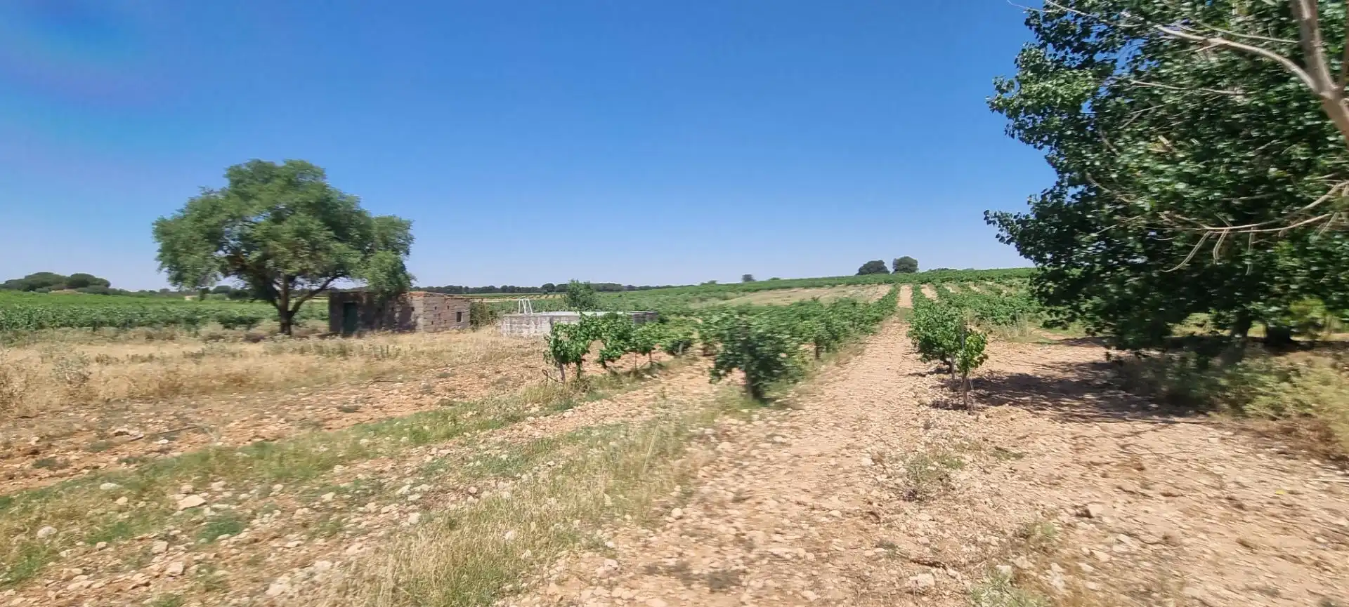 Country homes for sale in Calle Diseminados, 590, Villarrobledo Country homes for sale in Villarrobledo with Terrace and Swimming Pool